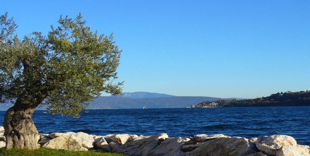 Agriturismo Villa Bissiniga Salò Εξωτερικό φωτογραφία