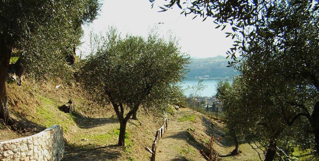Agriturismo Villa Bissiniga Salò Εξωτερικό φωτογραφία